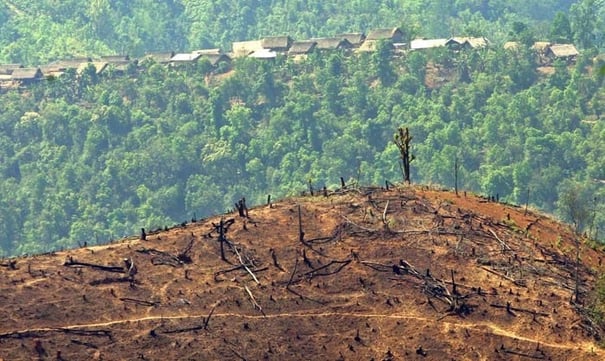 deforestacion-1.jpg